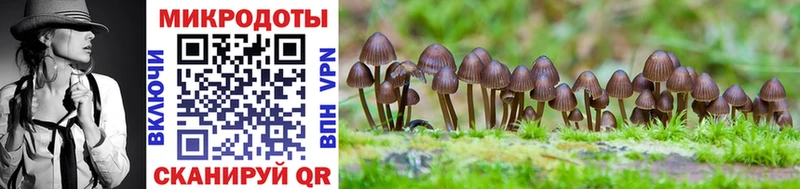 Псилоцибиновые грибы MAGIC MUSHROOMS  shop какой сайт  Ковылкино  продажа наркотиков 